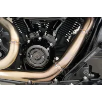 Cam Cover/Point Cover Titanium 12-Point Bolt Kit — 12-point cam & point cover fit, polished silver