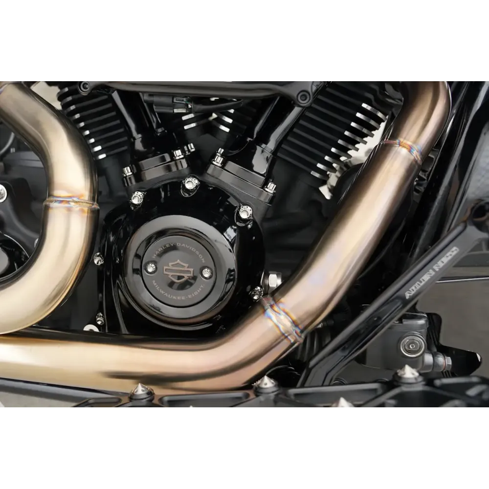 Cam Cover/Point Cover Titanium 12-Point Bolt Kit — 12-point cam & point cover fit, polished silver