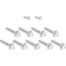 Cam Cover/Point Cover Titanium 12-Point Bolt Kit — 12-point cam & point cover fit, polished silver