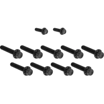 ARLEN NESS BOLT KIT TITANIUM - FLT 17-23