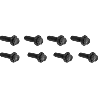 ARLEN NESS BOLT KIT TITANIUM - TC & M8 -