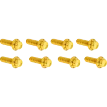 Lifter Block Titanium 12-Point Bolt Kit — Gold