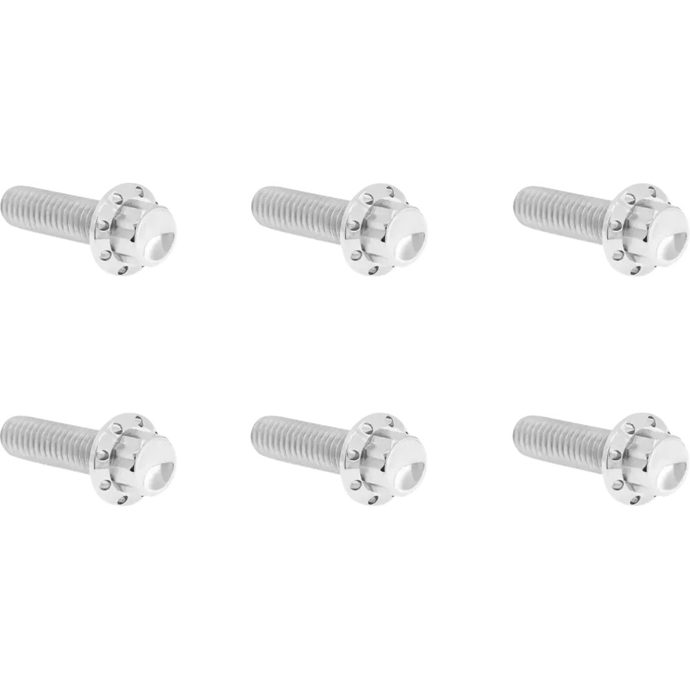 ARLEN NESS BOLT KIT TITANIUM - TC&M8 07-2