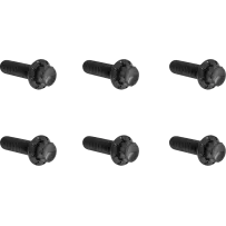 ARLEN NESS BOLT KIT TITANIUM - TC&M8 07-2