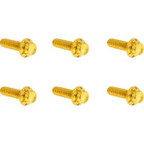 Transmission Top Cover Titanium 12-Point Bolt Kit — Gold