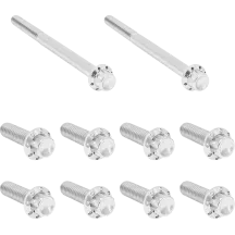 Transmission Side Cover & Trap Door Titanium 12-Point Bolt Kit — Titanium, Silver Polished