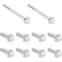 Transmission Side Cover & Trap Door Titanium 12-Point Bolt Kit — Titanium, Silver Polished