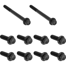 Transmission Side Cover & Trap Door Titanium 12-Point Bolt Kit — Black