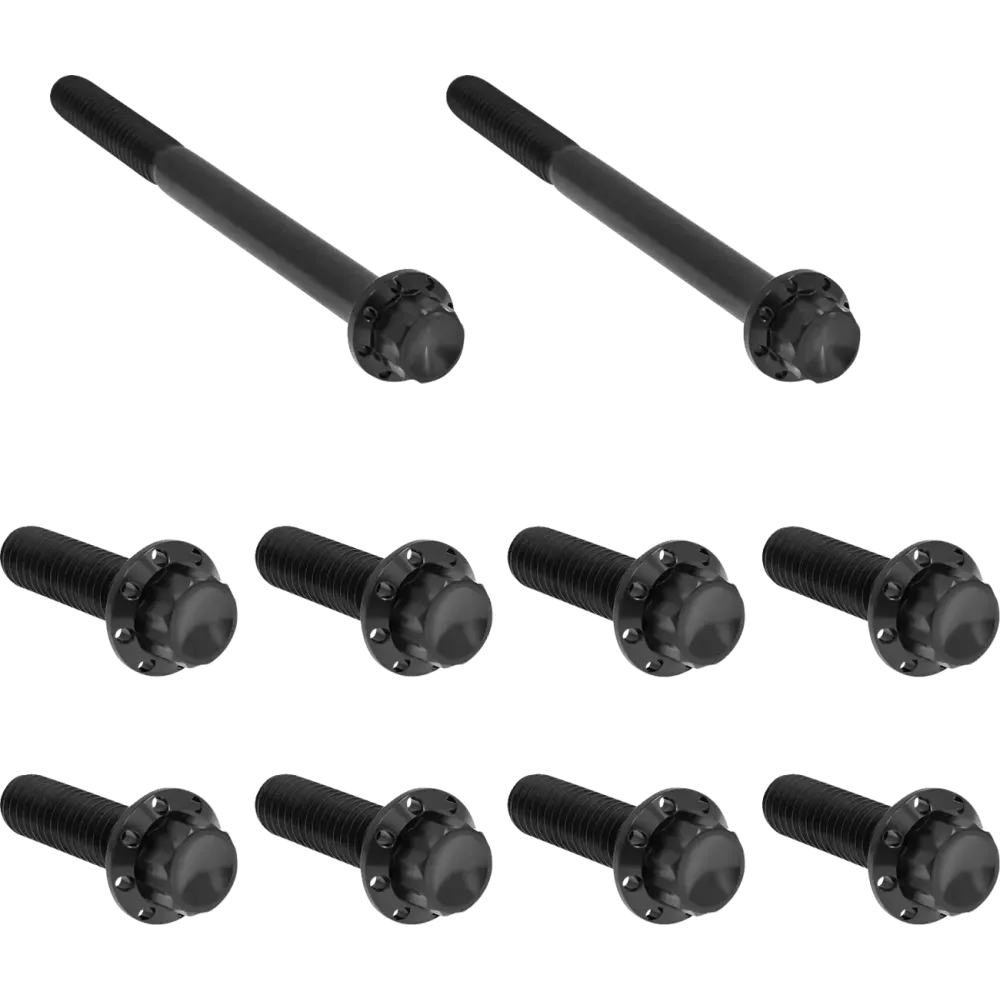 Transmission Side Cover & Trap Door Titanium 12-Point Bolt Kit — Black