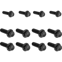 Transmission Side Cover & Trap Door Titanium 12-Point Bolt Kit — Black