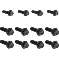 Transmission Side Cover & Trap Door Titanium 12-Point Bolt Kit — Black