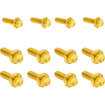 Transmission Side Cover & Trap Door Titanium 12-Point Bolt Kit — Gold