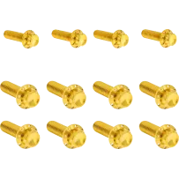 Transmission Side Cover & Trap Door Titanium 12-Point Bolt Kit — Gold