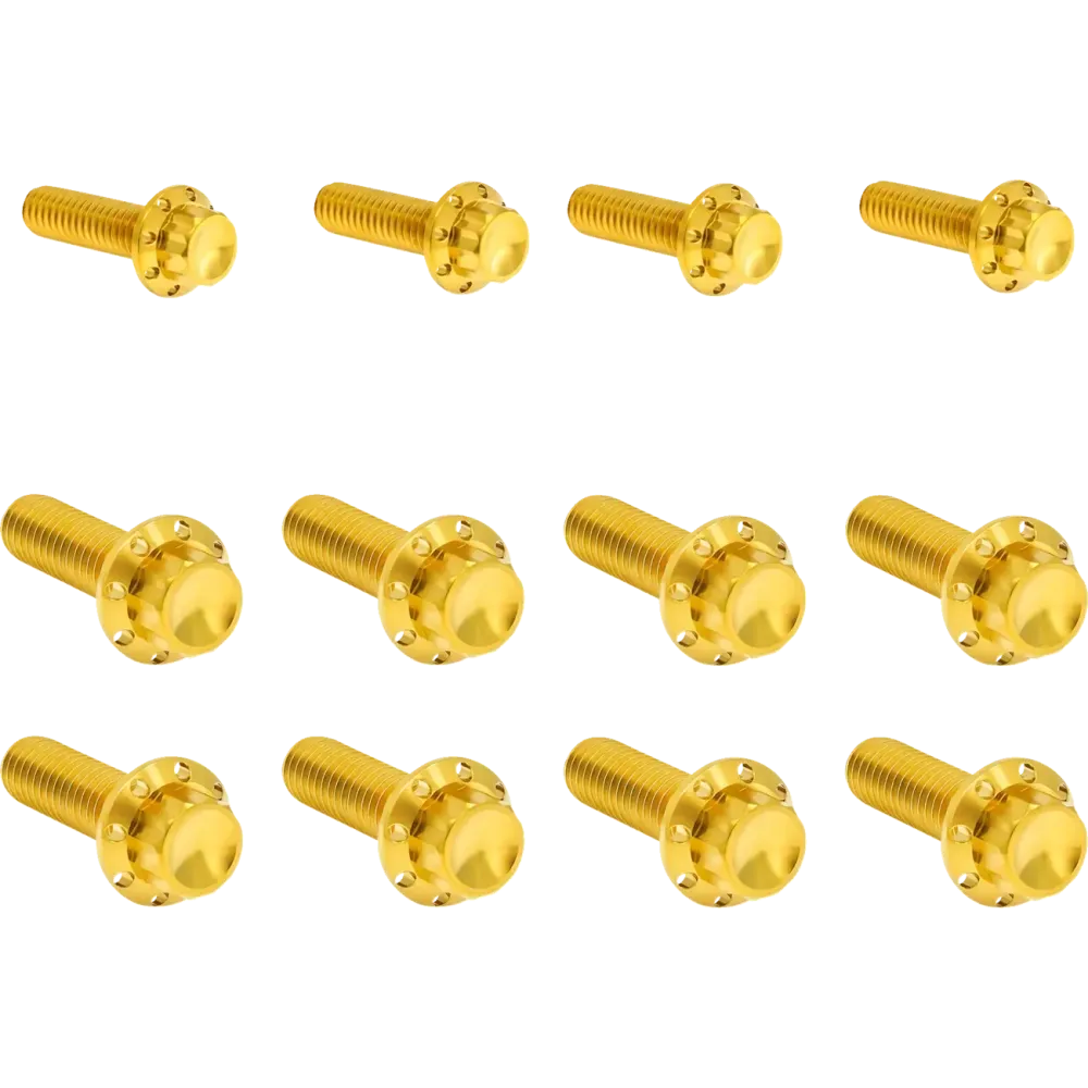 Transmission Side Cover & Trap Door Titanium 12-Point Bolt Kit — Gold