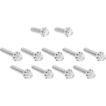 Cam Cover/Point Cover Titanium 12-Point Bolt Kit — Polished silver