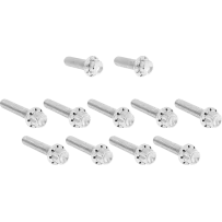 Cam Cover/Point Cover Titanium 12-Point Bolt Kit — Polished silver