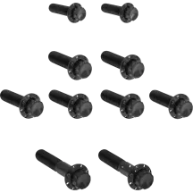 ARLEN NESS BOLT KIT TITANIUM - TC 07-17 -