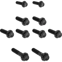 ARLEN NESS BOLT KIT TITANIUM - TC 07-17 -