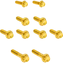 ARLEN NESS BOLT KIT TITANIUM - TC 07-17 -