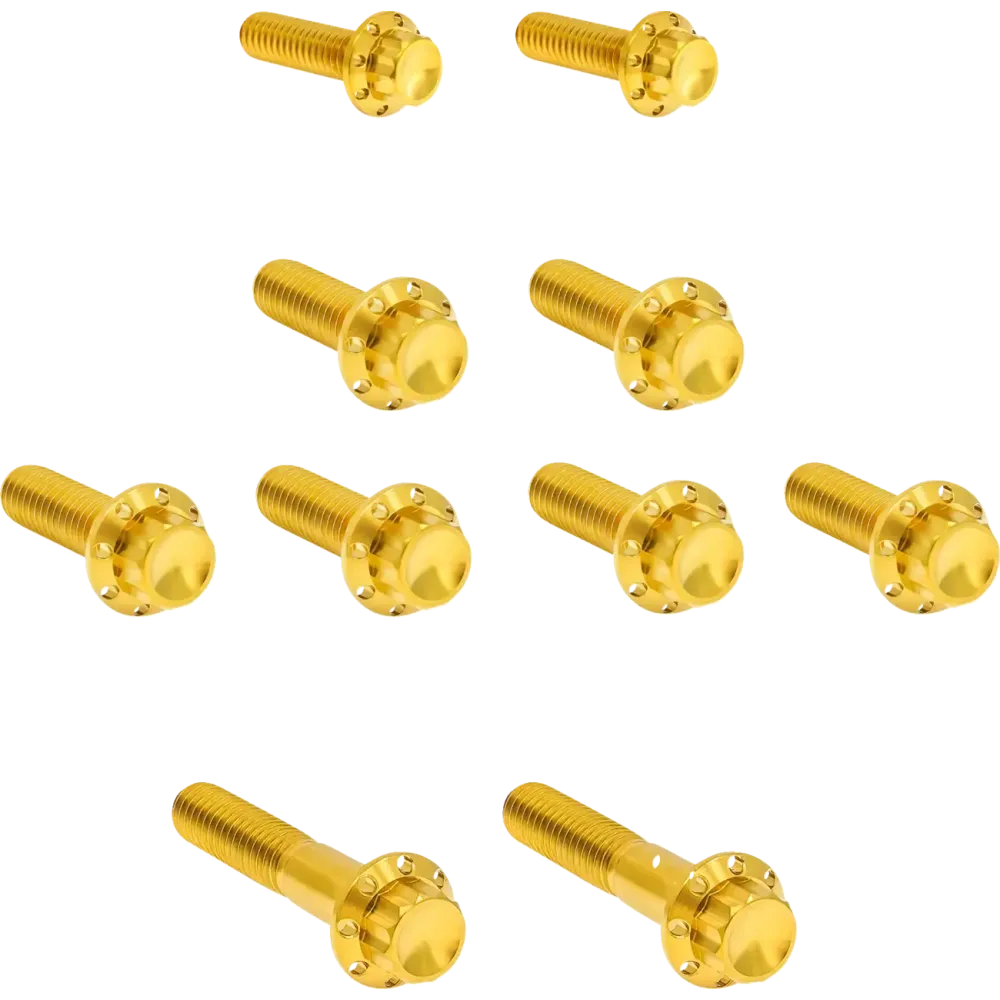 ARLEN NESS BOLT KIT TITANIUM - TC 07-17 -