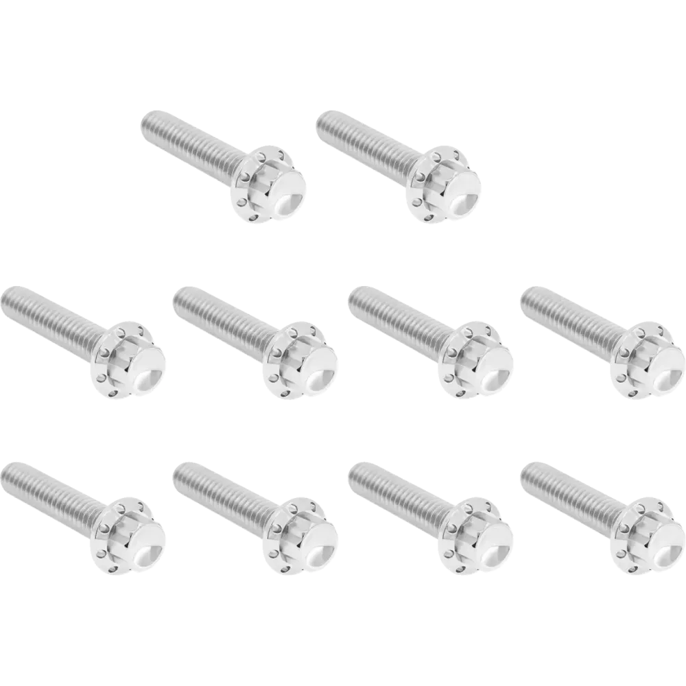 Cam Cover/Point Cover Titanium 12-Point Bolt Kit — 12-point, Titanium, Silver