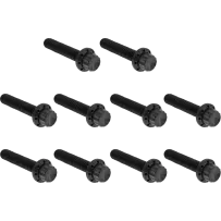 ARLEN NESS BOLT KIT TITANIUM - TC 00-17 -