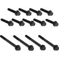 Outer Primary Cover Titanium 12-Point Bolt Kit — Black