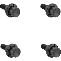 ARLEN NESS BOLT KIT TITANIUM - FLTR 23-25