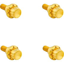 Windshield Titanium 12-Point Bolt Kit — '24+ Road Glide, Gold