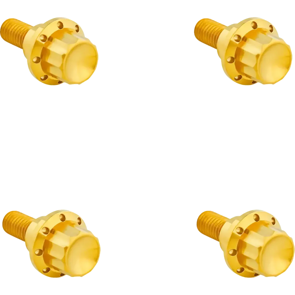 Windshield Titanium 12-Point Bolt Kit — '24+ Road Glide, Gold