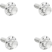 Titanium 12-Point Windshield Bolts — Silver Polished, Kit for Road Glide