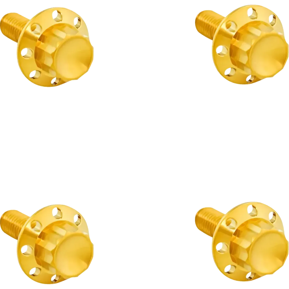 Titanium 12-Point Windshield Bolts — Gold, fits Road Glide models