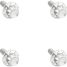 12-Point Windshield Bolt Kit — FLHX, FLHXU, FLHXSE, Silver Polished