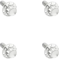 12-Point Windshield Bolt Kit — FLHX, FLHXU, FLHXSE, Silver Polished