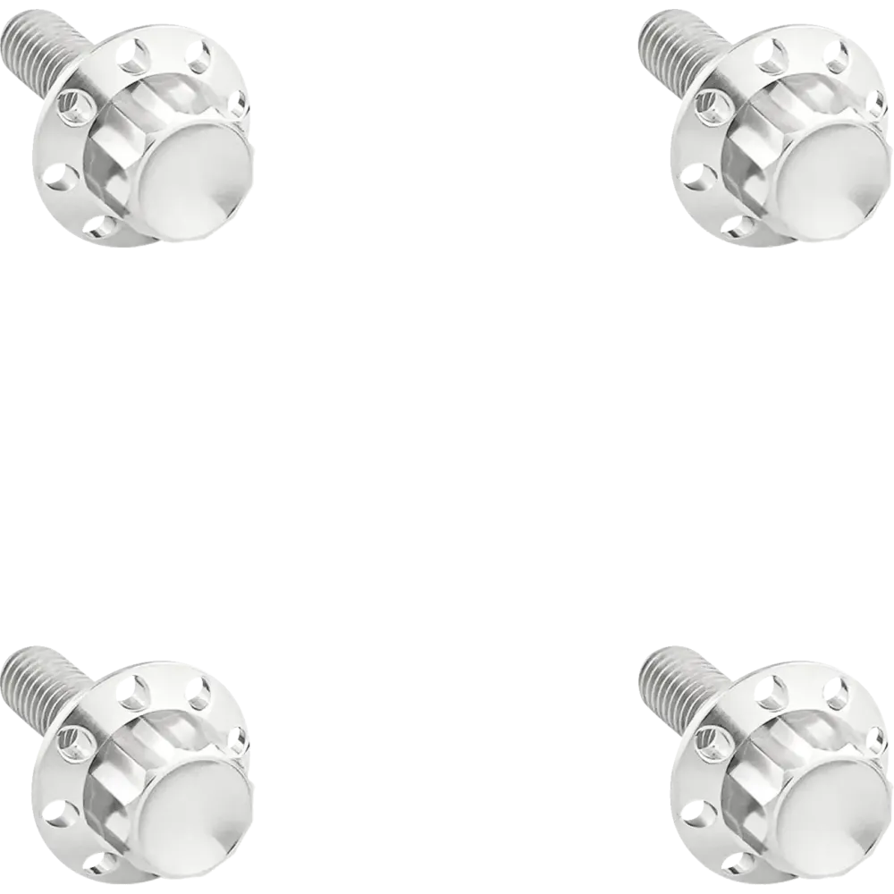 12-Point Windshield Bolt Kit — FLHX, FLHXU, FLHXSE, Silver Polished