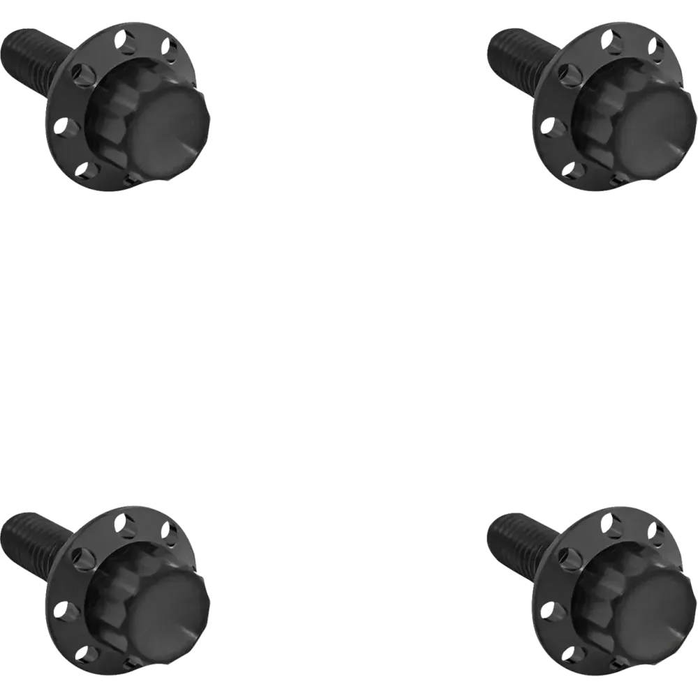 12-Point Windshield Bolt Kit — Titanium, Black