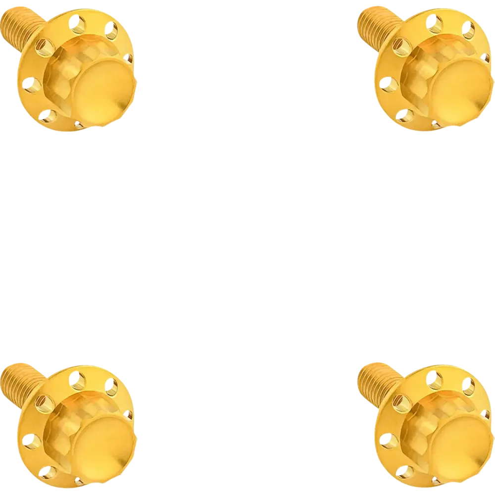 12-Point Windshield Bolt Kit — Gold, Titanium