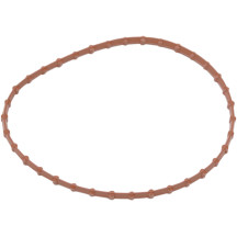 Fuel Pump Door Seal