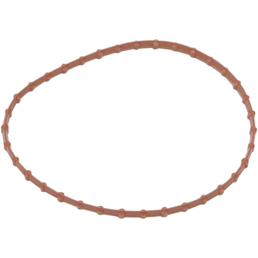 Fuel Pump Door Seal