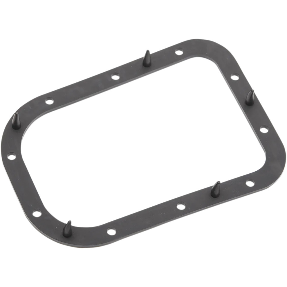 Fuel Pump Door Seal Fuel Pump Door Seal