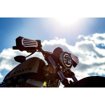 Dillinger Handguards