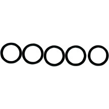 O-Ring de Repuesto para Válvula de Comprobación de Combustible