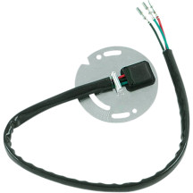 Ignition Sensor Assembly