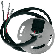 Ignition Sensor Assembly