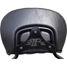 Dead End Sissy Bar Plate