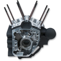 Dyna Engine Case