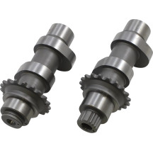Cam Set for Chain Drive