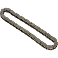 Cam Chain — 22 links, outer mount