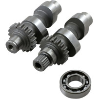 Cam Set for Chain Drive — TW48 grind, ANDREWS, Pair