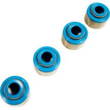 Valve Seals